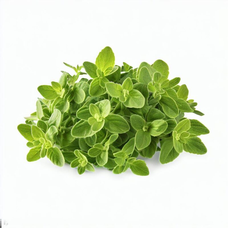 Fresh Oregano by Blue Lettuce